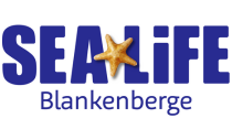 Merchant Logo